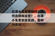 北漂小生意赚钱吗？如何选择和运营？，北漂小生意创业实战，盈利与选址