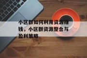 小区群如何利用资源赚钱，小区群资源整合与盈利策略