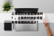 上海农村小生意赚钱吗？，上海农村创业项目有哪些赚钱的点子?