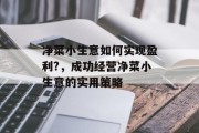 净菜小生意如何实现盈利?，成功经营净菜小生意的实用策略