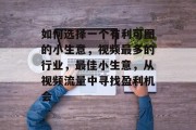 如何选择一个有利可图的小生意，视频最多的行业，最佳小生意，从视频流量中寻找盈利机会