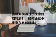 县城如何通过小生意赚取利润？，如何通过小生意在县城赚钱？