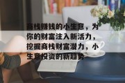 商栈赚钱的小生意，为你的财富注入新活力，挖掘商栈财富潜力，小生意投资的新趋势