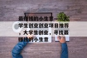 最赚钱的小生意——大学生创业创业项目推荐，大学生创业，寻找最赚钱的小生意