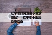 辽宁省如何发展小生意赚钱？，辽宁省小生意投资指南