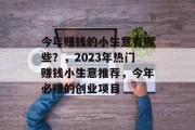 今年赚钱的小生意有哪些？，2023年热门赚钱小生意推荐，今年必赚的创业项目