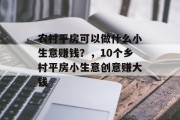 农村平房可以做什么小生意赚钱？，10个乡村平房小生意创意赚大钱