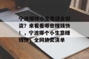 宁波哪种小生意适合投资？来看看哪些赚钱快！，宁波哪个小生意赚钱快，全网热卖清单