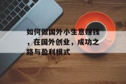 如何做国外小生意赚钱，在国外创业，成功之路与盈利模式
