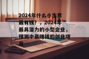 2024年什么小生意最有钱？，2024年最具潜力的小型企业，预测中最赚钱的创业项目