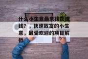 什么小生意最来钱快赚钱？，快速致富的小生意，最受欢迎的项目解析