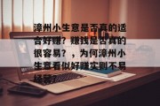 漳州小生意是否真的适合好赚？赚钱是否真的很容易？，为何漳州小生意看似好赚实则不易经营？