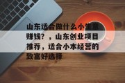山东适合做什么小生意赚钱？，山东创业项目推荐，适合小本经营的致富好选择