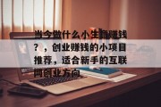 当今做什么小生意赚钱？，创业赚钱的小项目推荐，适合新手的互联网创业方向