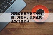 河南的创业项目与小商机，河南中小微创业机会及项目解析