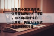 现在的小生意最赚钱，你需要知道的热门项目，2023年最赚钱的小生意，快速入行投资高回报创业项目