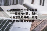 老家赚钱小生意不好做——探析与对策，农村小生意出路分析，如何提高盈利并避免困境