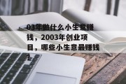03年做什么小生意赚钱，2003年创业项目，哪些小生意最赚钱？