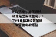 KTV行业，如何通过精准经营实现盈利，KTV行业精准经营策略，实现盈利的途径