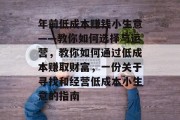 年前低成本赚钱小生意——教你如何选择与运营，教你如何通过低成本赚取财富，一份关于寻找和经营低成本小生意的指南