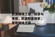 武清赚钱之道，探索与发现，武清财富探索，发现赚钱之道
