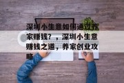 深圳小生意如何通过养家赚钱？，深圳小生意赚钱之道，养家创业攻略