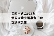 星网宇达:2024年第五次独立董事专门会议决议公告