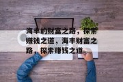 海丰的财富之路，探索赚钱之道，海丰财富之路，探索赚钱之道