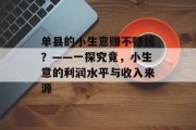 单县的小生意赚不赚钱？——一探究竟，小生意的利润水平与收入来源