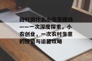 回村做什么小生意赚钱——一次深度探索，小农创业，一次农村生意的投资与运营攻略