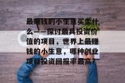 最赚钱的小生意买卖什么——探讨最具投资价值的项目，世界上最赚钱的小生意，哪种创业项目投资回报率最高?
