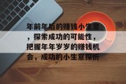 年前年后的赚钱小生意，探索成功的可能性，把握年年岁岁的赚钱机会，成功的小生意探析