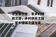小生意创业，家乡的赚钱之道，乡村创业之路，家乡赚钱之道分享