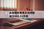 山金国际董事王水持股减少868.81万股