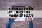 在家乡什么小生意最赚钱？，农村创业项目，那些最赚钱的小生意推荐