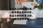 东山之上的财富之路——探寻最佳盈利项目，东山之巅的财富之路，探寻最佳盈利项目