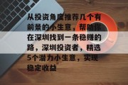 从投资角度推荐几个有前景的小生意，帮助你在深圳找到一条稳赚的路，深圳投资者，精选5个潜力小生意，实现稳定收益