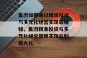 集团如何通过精准投资与多元化经营实现最赚钱，集团精准投资与多元化经营策略实现盈利最大化