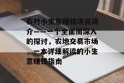 农村小生意赚钱项目简介——一个全面而深入的探讨，农地交易市场，一本详细解读的小生意赚钱指南
