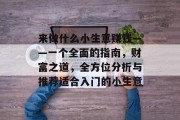 来做什么小生意赚钱——一个全面的指南，财富之道，全方位分析与推荐适合入门的小生意