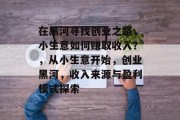 在黑河寻找创业之路，小生意如何赚取收入？，从小生意开始，创业黑河，收入来源与盈利模式探索