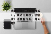 武功山做小生意赚钱吗？，武功山商机，想创业？这里有你的一片天地！