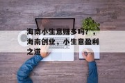 海南小生意赚多吗？，海南创业，小生意盈利之道