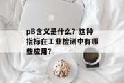 pB含义是什么？这种指标在工业检测中有哪些应用？