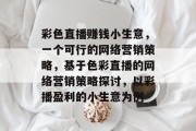彩色直播赚钱小生意，一个可行的网络营销策略，基于色彩直播的网络营销策略探讨，以彩播盈利的小生意为例