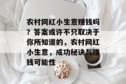 农村网红小生意赚钱吗？答案或许不只取决于你所知道的，农村网红小生意，成功秘诀与赚钱可能性