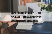小生意难赚钱吗？，创业不易，揭示小型企业盈利困境的可能原因