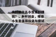 乡村做什么小生意好赚钱？，乡村创业，哪些小生意值得投资与尝试?