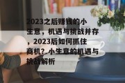 2023之后赚钱的小生意，机遇与挑战并存，2023后如何抓住商机？小生意的机遇与挑战解析