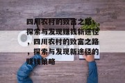 四川农村的致富之路，探索与发现赚钱新途径，四川农村的致富之路，探索与发现新途径的赚钱策略